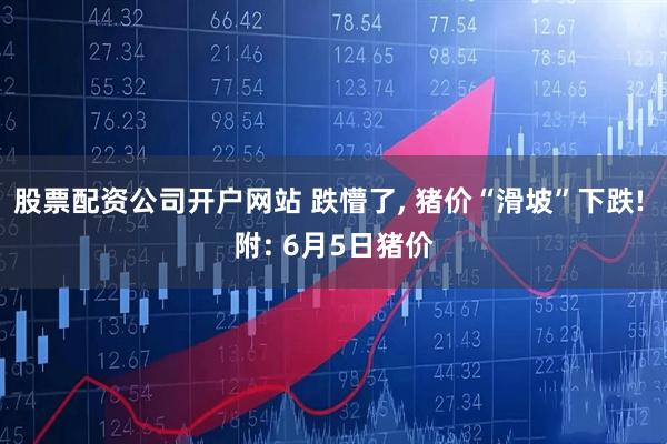 股票配资公司开户网站 跌懵了, 猪价“滑坡”下跌! 附: 6月5日猪价