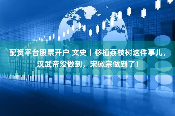 配资平台股票开户 文史丨移植荔枝树这件事儿，汉武帝没做到，宋徽宗做到了！